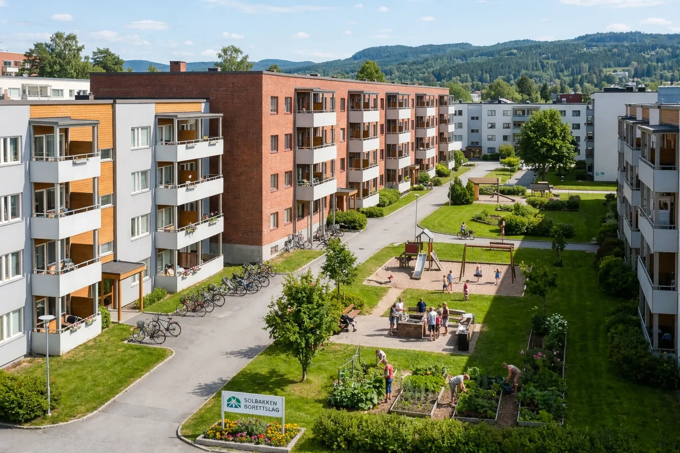 Borettslag, sameier og organisasjoner
